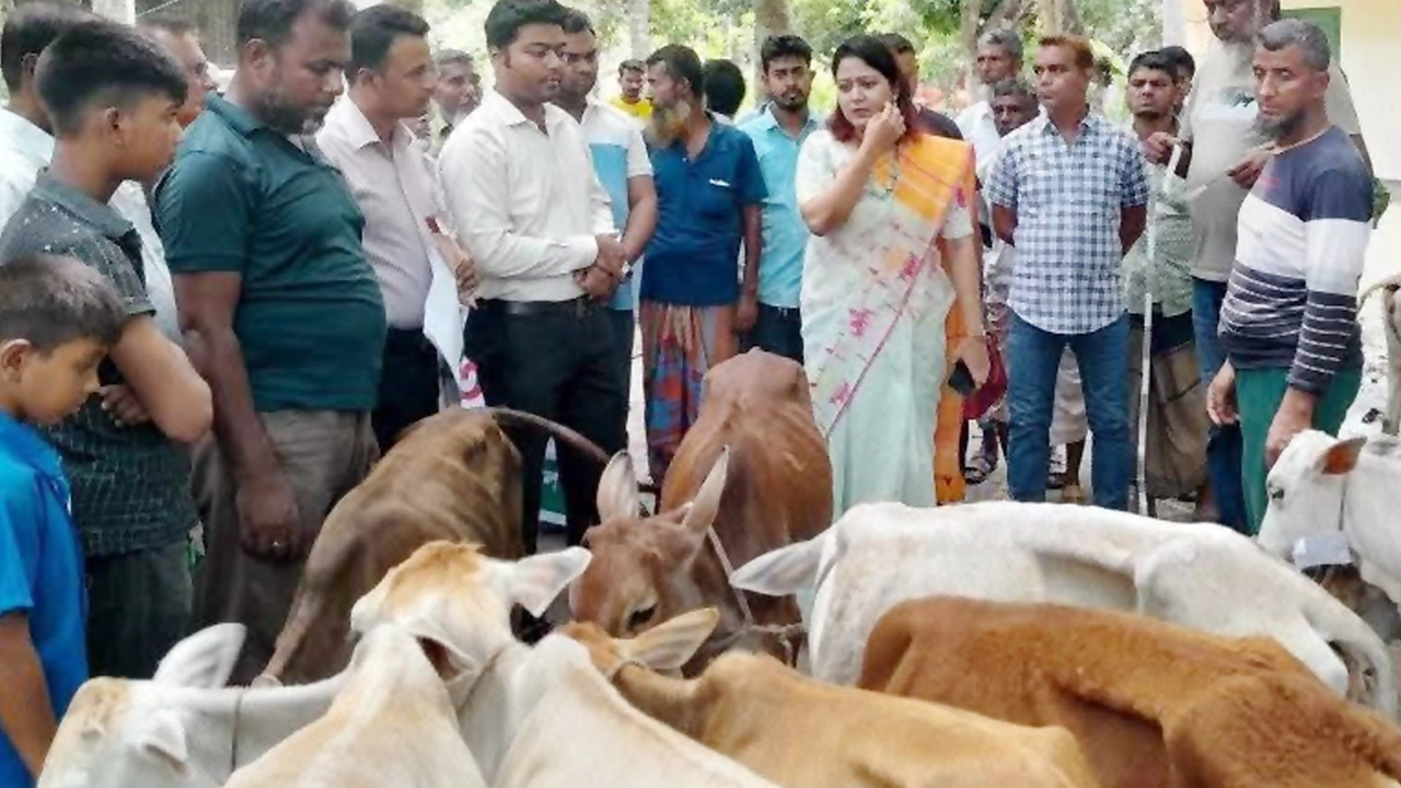 বাছুরের ওজন কম থাকায় ইউএনও তা বিতরণ না করে ফিরিয়ে দিয়েছেন।