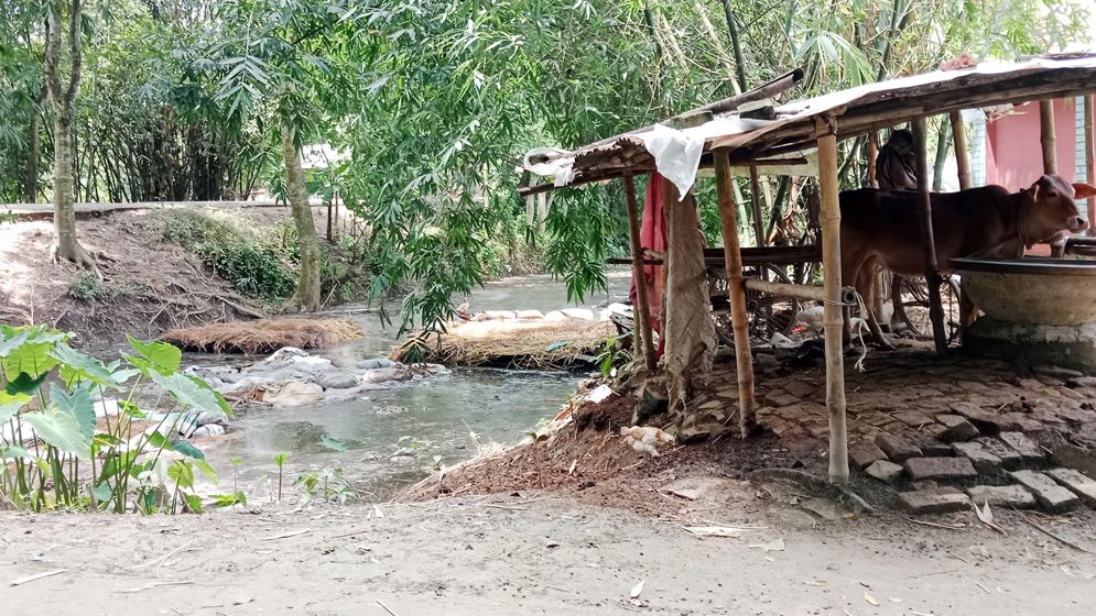 গরুর গোয়ালঘর গড়ে উঠেছে পবিত্র স্থানে, ধর্মীয় অনুভূতি আঘাতপ্রাপ্ত, তদন্তেও ঢিলেমি।