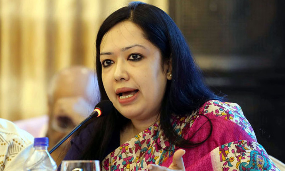 নির্বাচনে বিএনপি অংশগ্রহণ করবে কিনা এবং জোট গঠন হবে কি না, সেই বিষয়ে মন্তব্য করেছেন রুমিন ফারহানা।