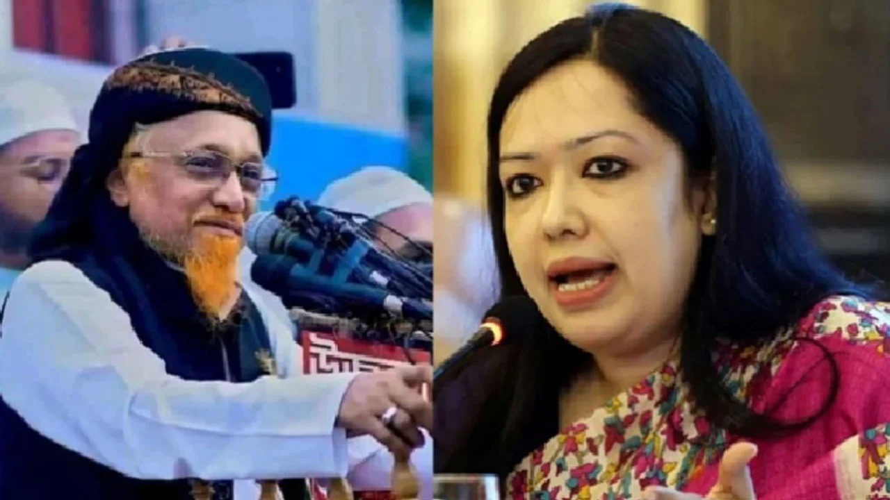 ব্রাহ্মণবাড়িয়া-২ আসনে বিএনপিতে বিদ্রোহ, মনোনয়ন ফরম নিলেন রুমিন ফারহানা