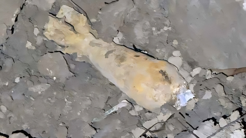 চৌদ্দগ্রামে কৃষিজমিতে উদ্ধার অবিস্ফোরিত মর্টার শেল