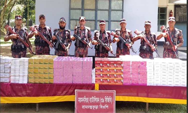 শেরপুর সীমান্তে বিপুল পরিমাণ ভারতীয় ওষুধ জব্দ